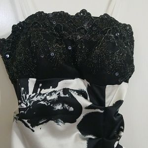 Ball Gown/Prom Dress